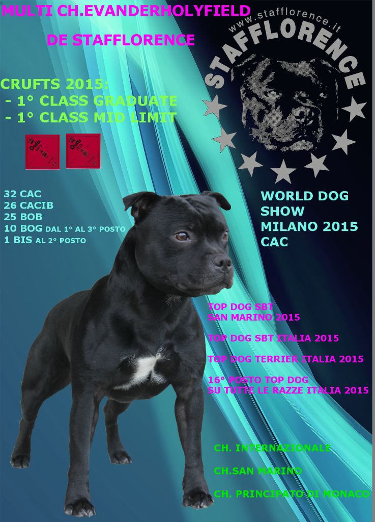 CH. Multi ch.r. evanderholyfield de Stafflorence